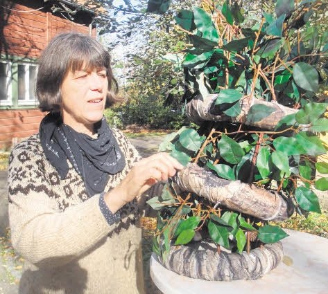 Die Bundesfreiwillige Renate Schlenker im Einsatz - Foto: Naturtheater