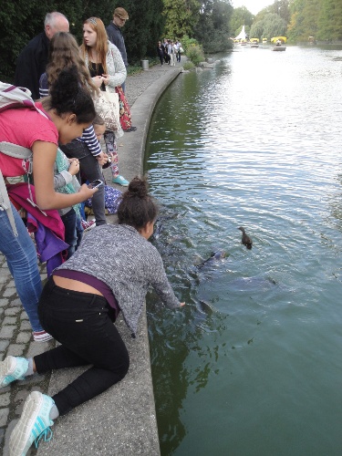 https://www.naturtheater-reutlingen.de/content/igal/dsc00050-2DYOCP-L-16415.jpg