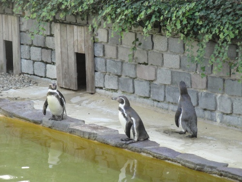 https://www.naturtheater-reutlingen.de/content/igal/dsc00061-8LY9S6-L-16420.jpg