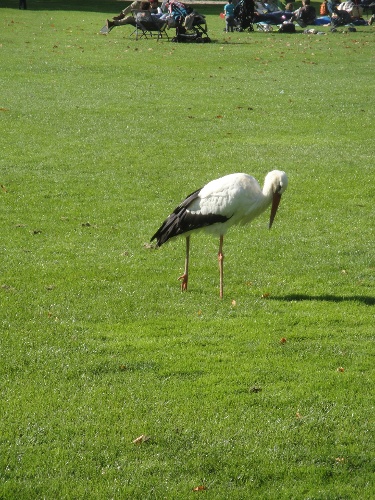 https://www.naturtheater-reutlingen.de/content/igal/dsc00064-42QBDZ-L-16421.jpg