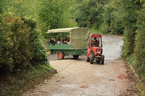 https://www.naturtheater-reutlingen.de/content/igal/k-2010_10_ntr-ausflug_5179-OTL5TO-L-33169.jpg