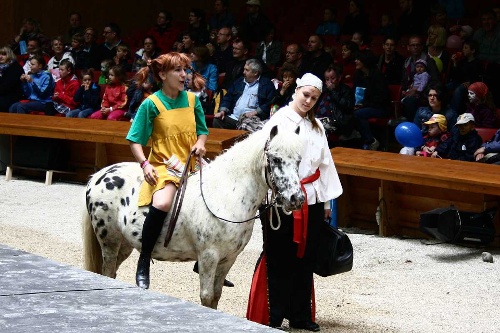 https://www.naturtheater-reutlingen.de/content/igal/k-2012_06_10_pippi_8980-QKLC8H-L-32916.jpg